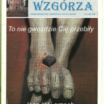 ZKW-2009.03-80.pdf